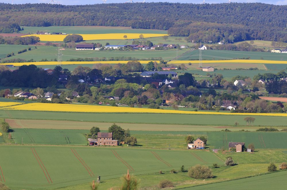 15959 gelbe Trennstreifen zwischen Lückerath, Bescheid und Kermeter 