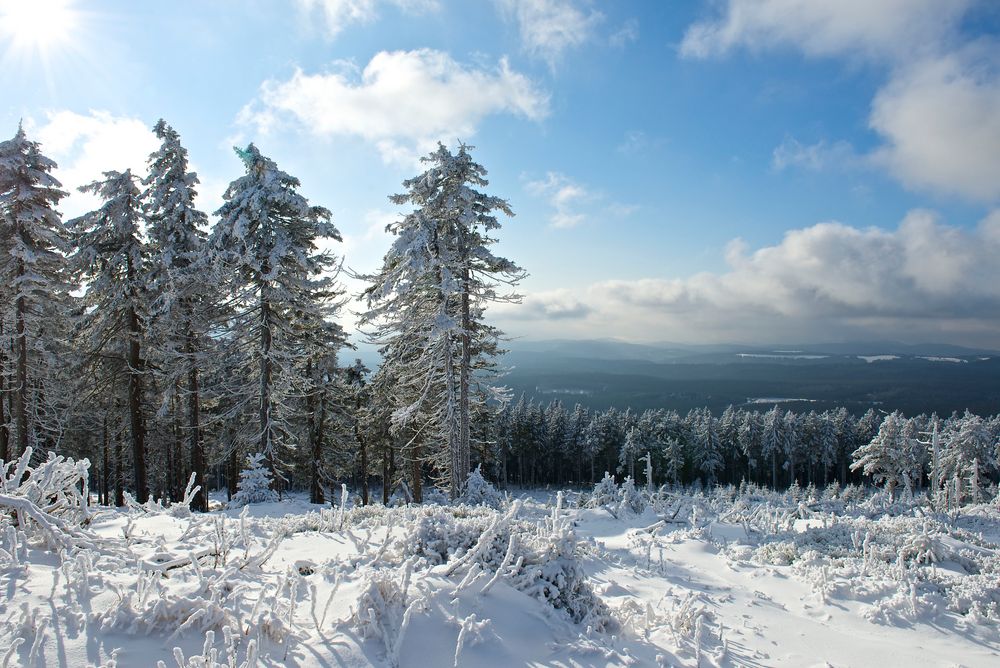 Winter im Harz von Valitina