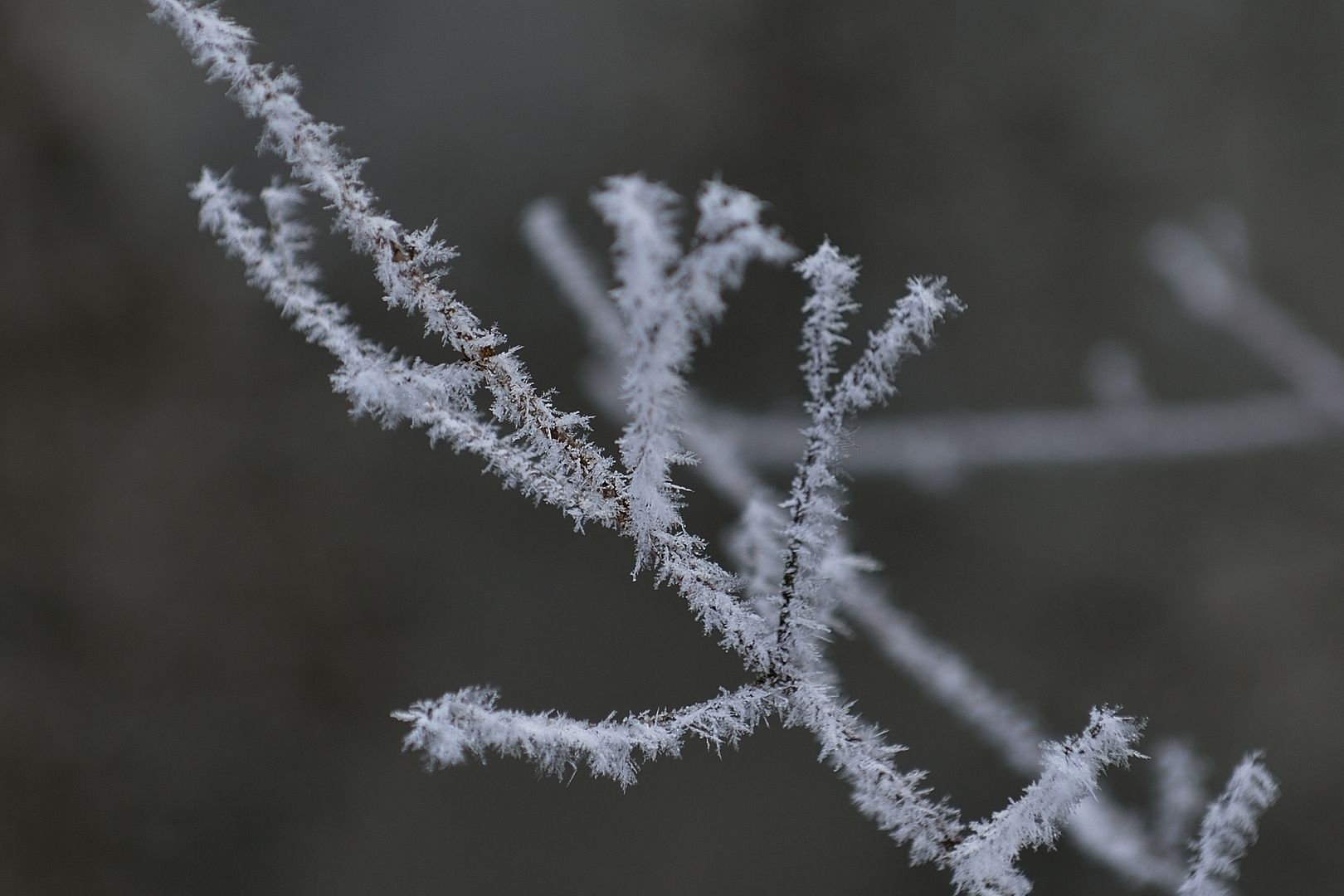 - 15°C