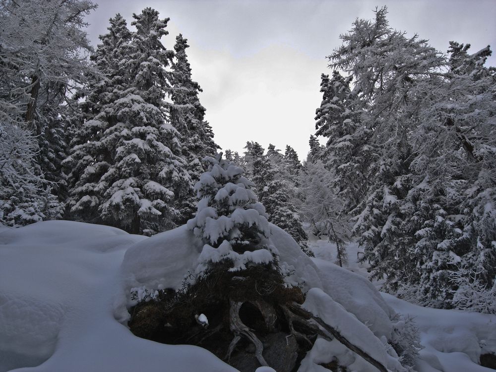 -15C à Liddes