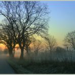 -1.5°C...und...klar, NEBEL.