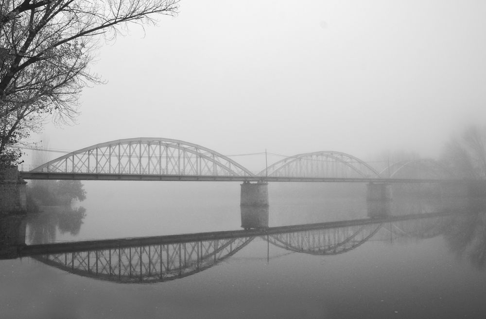 Reflejos en la niebla. de Julian Vaquero Gutierrez 