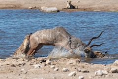 15_Erinnerung an Namibia April 2017