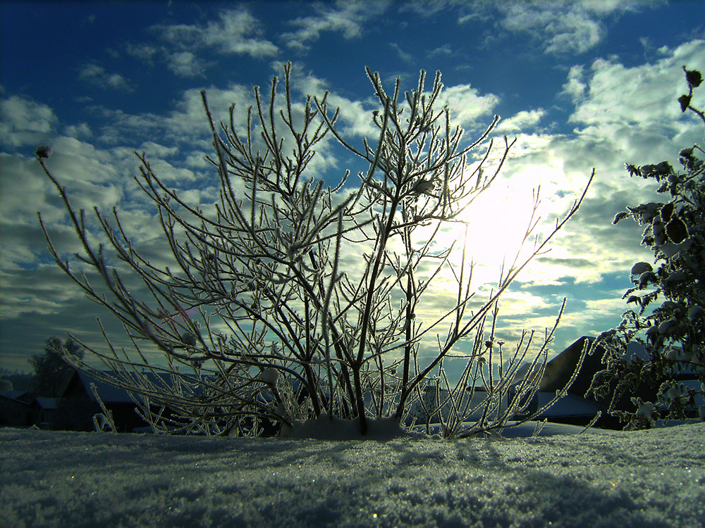 -16° C