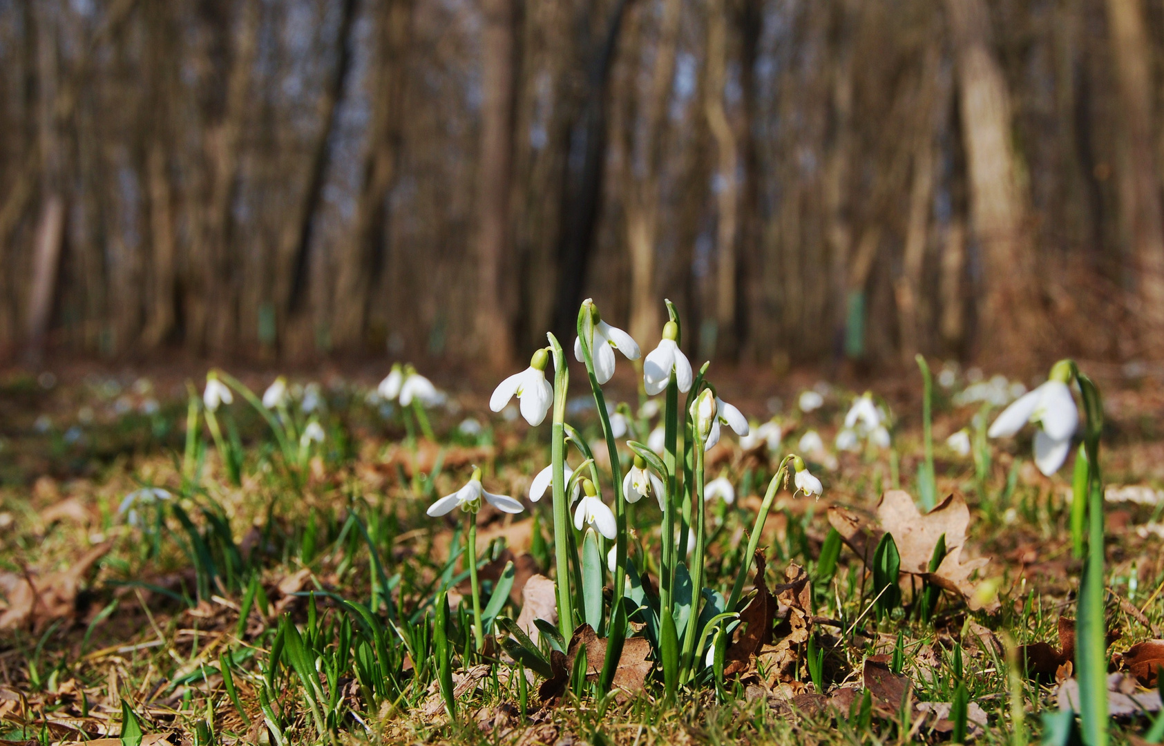 16° C.... heute war Frühling