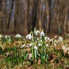 16° C.... heute war Frühling