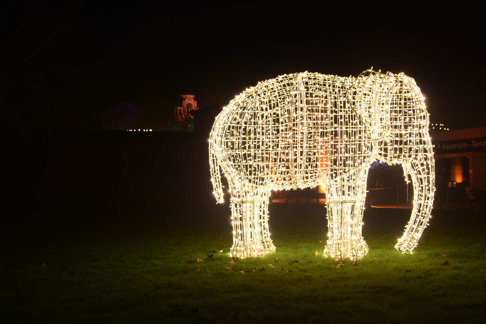 1/6 Christmas Garden im Zoologisch- botanischen Garten Wilhelma, Stuttgart 