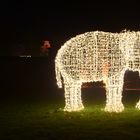 1/6 Christmas Garden im Zoologisch- botanischen Garten Wilhelma, Stuttgart 