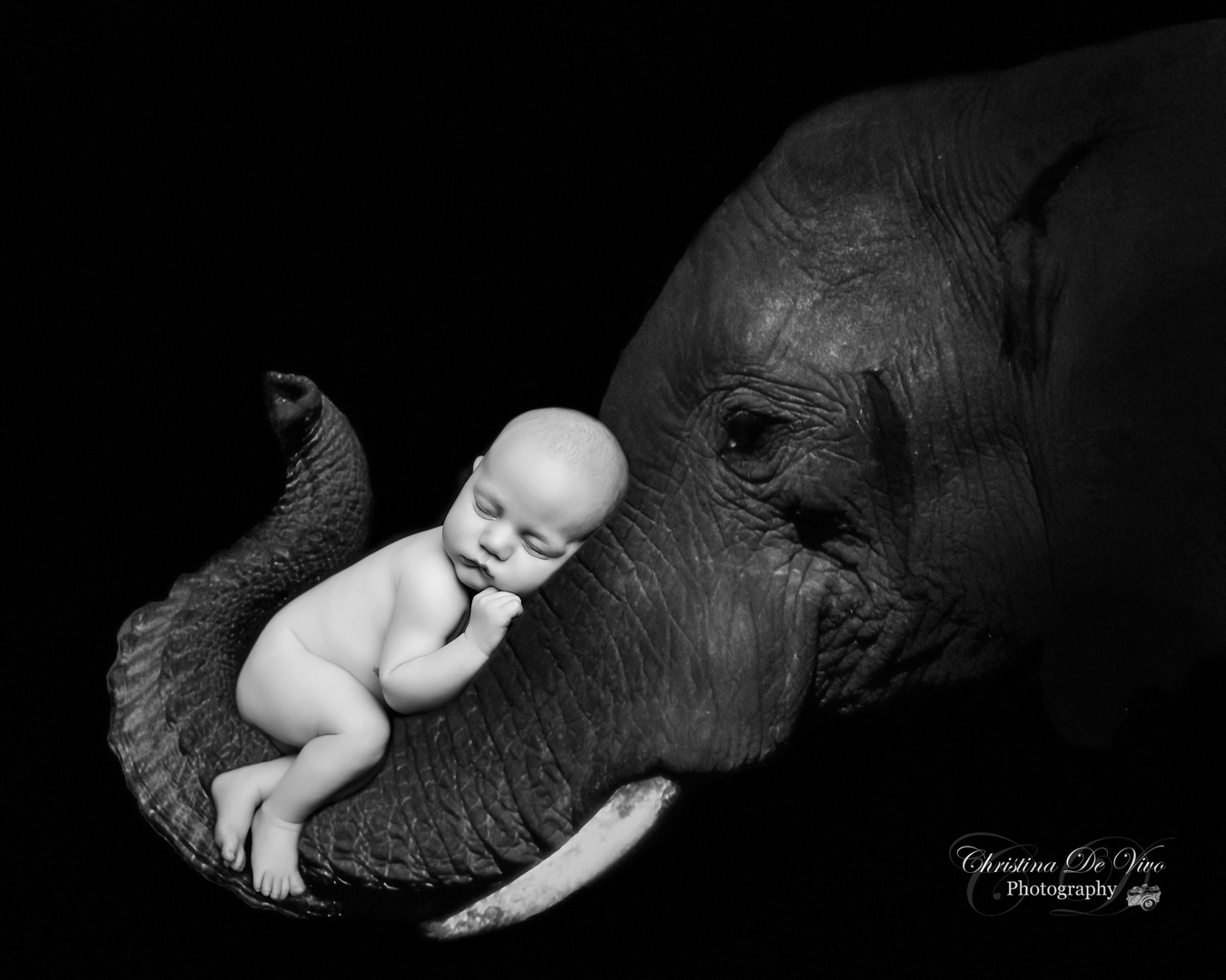 16 Elefant Lars 1sw Foto Bild Kinder Babies Baby Bilder Auf Fotocommunity