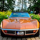16. Forumstreffen der Corvette-Freunde in Heilbad Heiligenstadt - Bild 1c