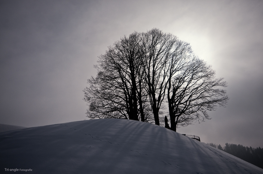 - 16 Grad - Eissonne