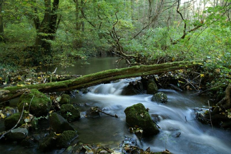 1,6 Sekunden Natur pur