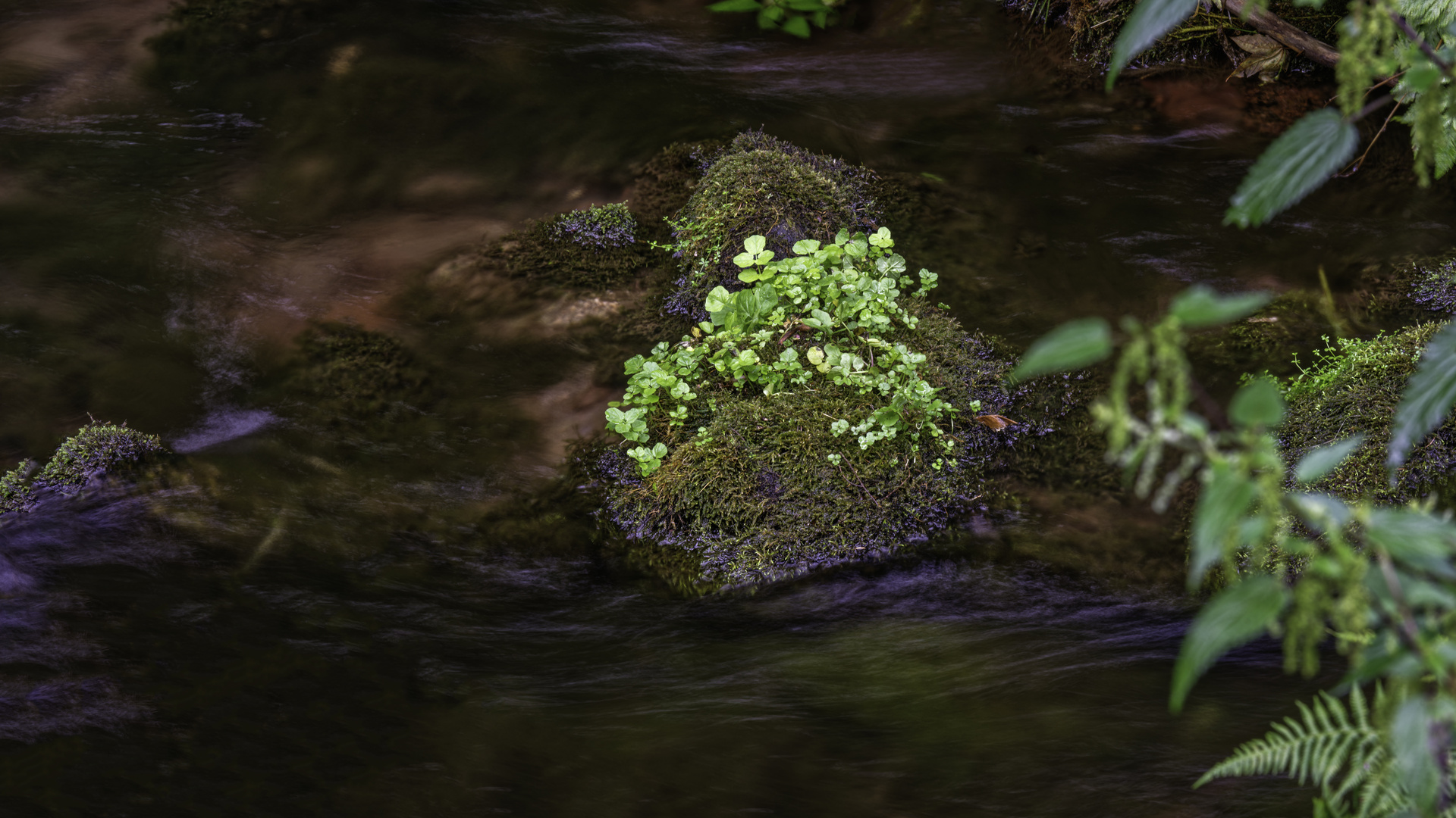 160 Islands in the stream (bearbeitet)