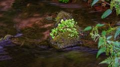 160 Islands in the stream (bearbeitet)