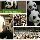 1600 Pandas