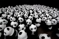 1600 Pandas