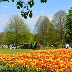 160506 017 Britzer Garten