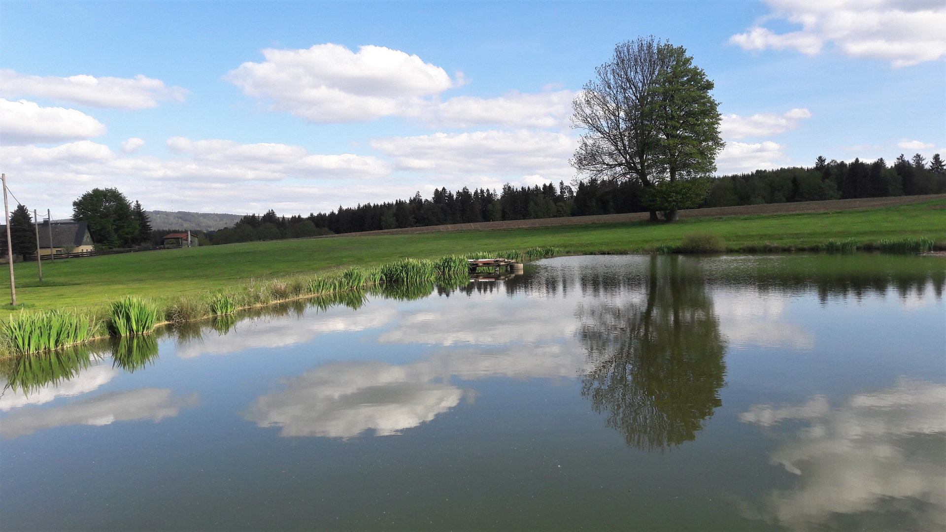 16.05.2020 Spiegeltag : Seerosenteich mit Wolkenspiegelungen