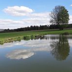 16.05.2020 Spiegeltag : Seerosenteich mit Wolkenspiegelungen