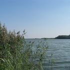 (161) an der donau