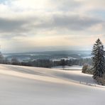 16.1.2017 rund um die Maulkuppe