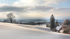 16.1.2017 rund um die Maulkuppe