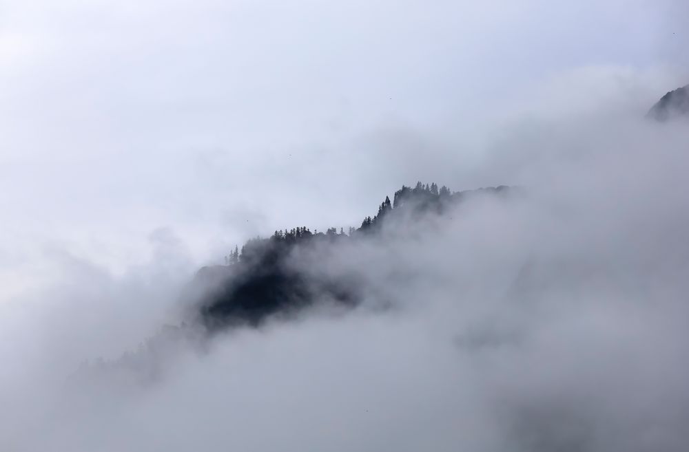 Morgenstimmung in den Voralpen von Thomas Jaeger