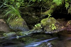 162 Farbtemperatur-Wanderung (bearbeitet)