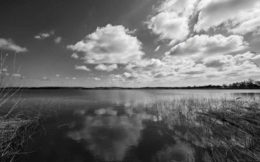 Am Balmer See auf Usedom von Elke Lorenz