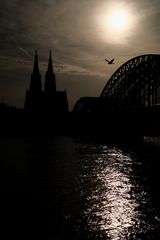 163 von 365