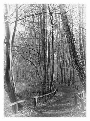 16422623_10212108288565264_3502409746900425348_o