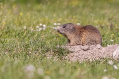 165 - 20160720 - Lechquellrunde 2. Tag - IMG_7439