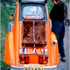 1651 2CV-Treffen Susten Schweiz 1991 