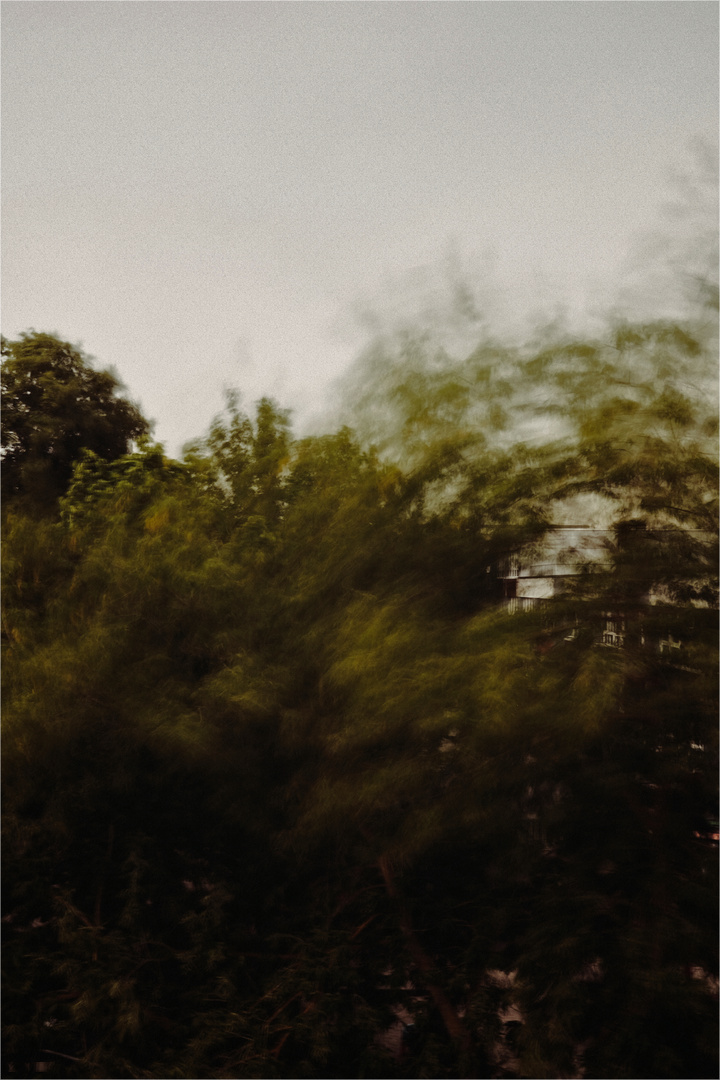 166 von 365