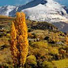 1671....pyrénées côté espagne