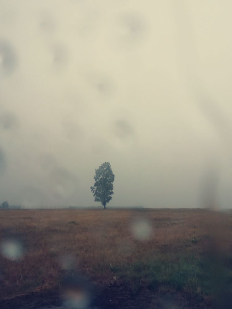 Ausblick am Morgen von Emma Zimbelmann