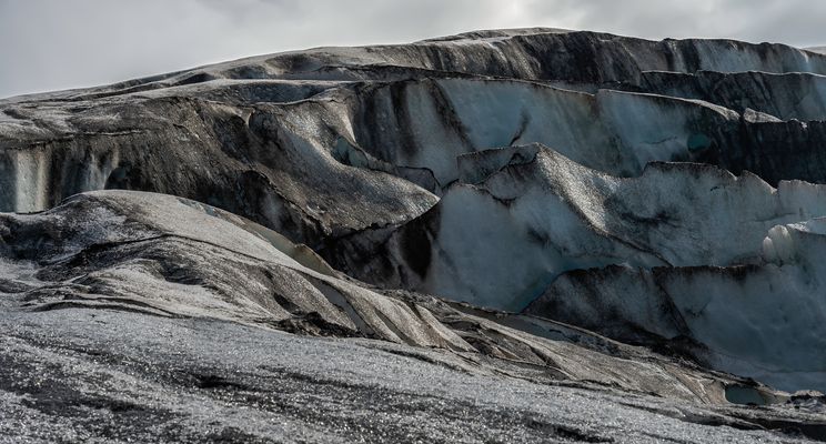 1679 Im Licht fixiert