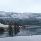 16941 Wintermorgen am Obersee