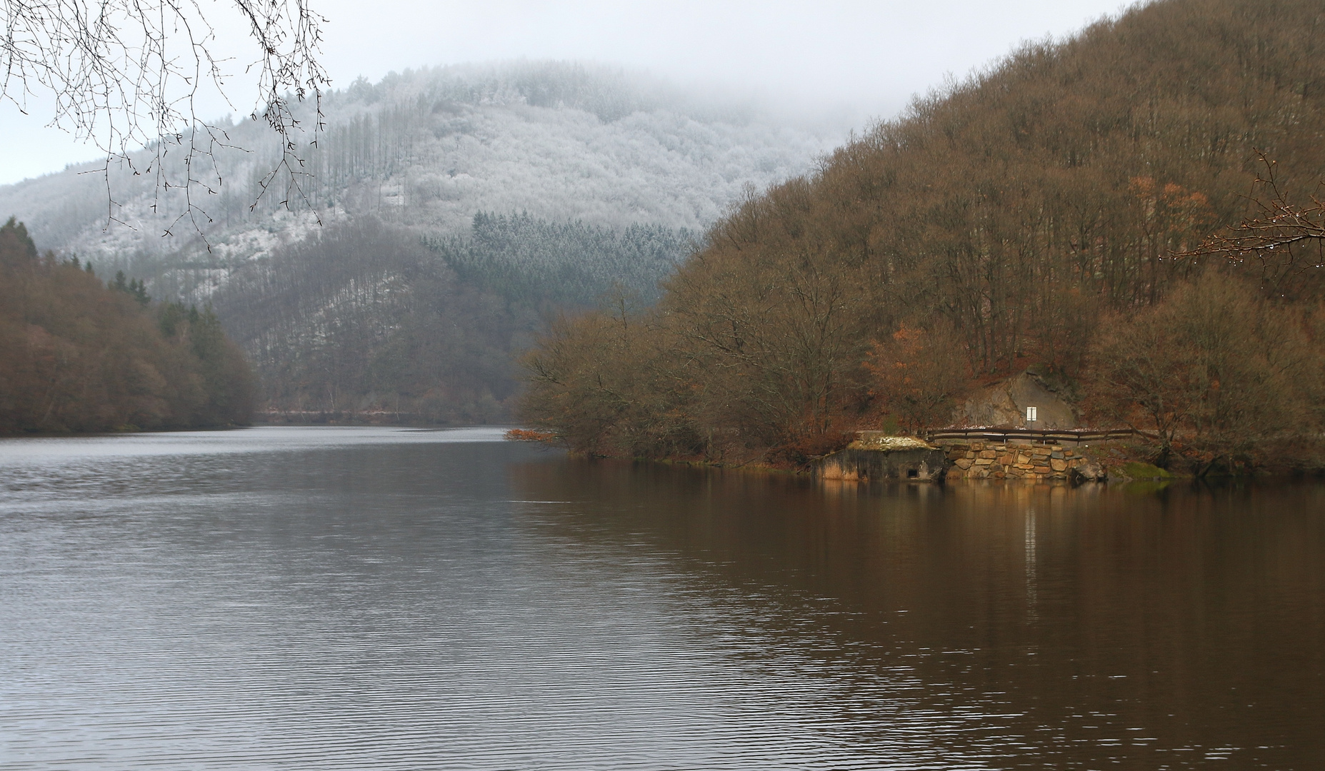 16944 Winterfarben am Seerandweg (Obersee der Rurtalsperre ...