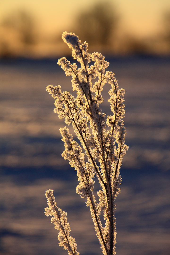 -16°Grad Celsius..