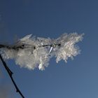 -17° am Morgen.......die Eiskönigin war da......