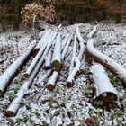 (17) Der erste richtige Schnee diesen Winter - ein wunderschöner Sonntagmorgen-Spaziergang