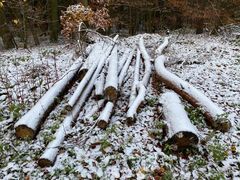 (17) Der erste richtige Schnee diesen Winter - ein wunderschöner Sonntagmorgen-Spaziergang