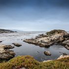 17 Mile Drive