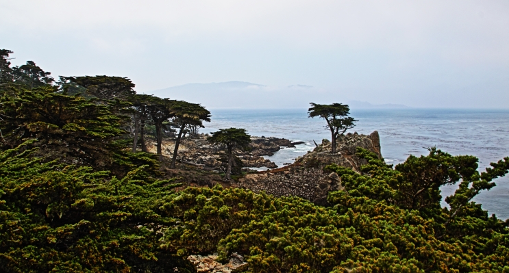 17 Mile Drive