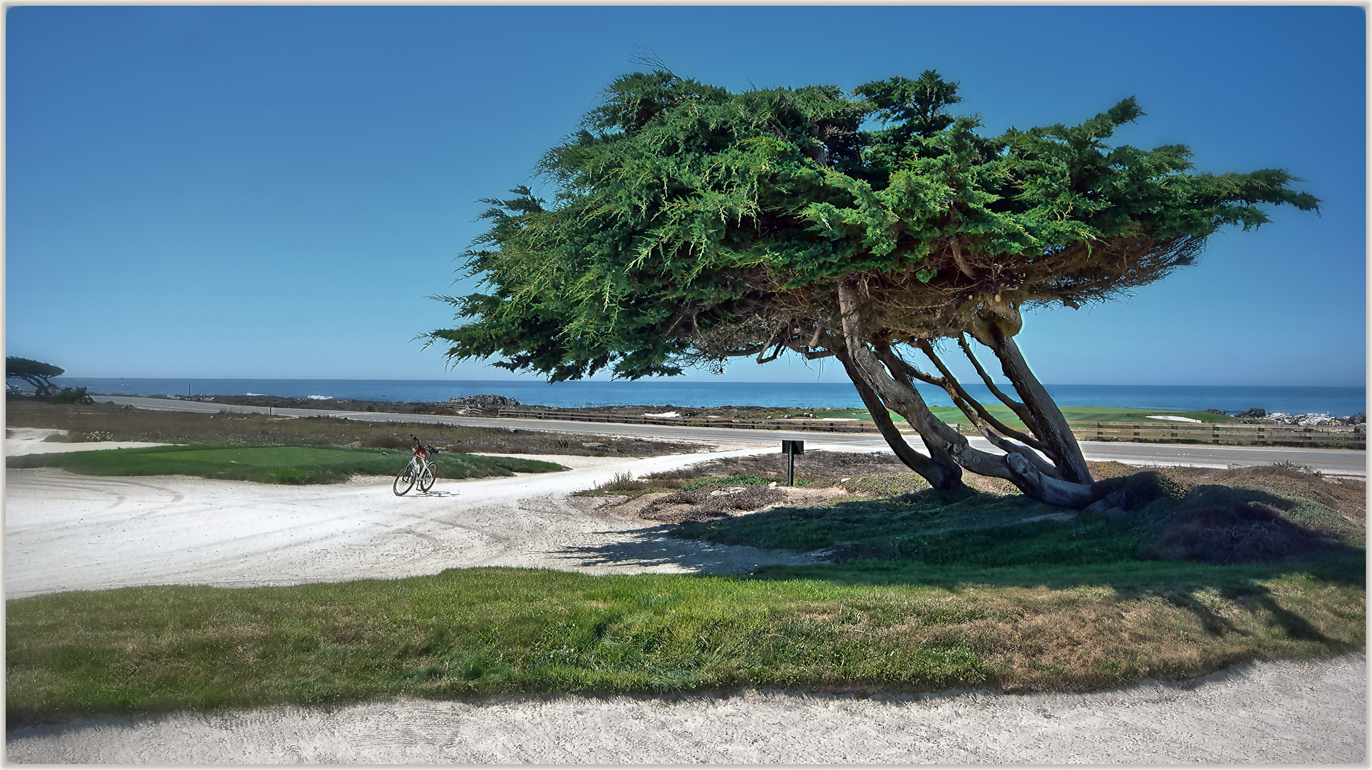 17 - Mile Drive bei Monterey, California