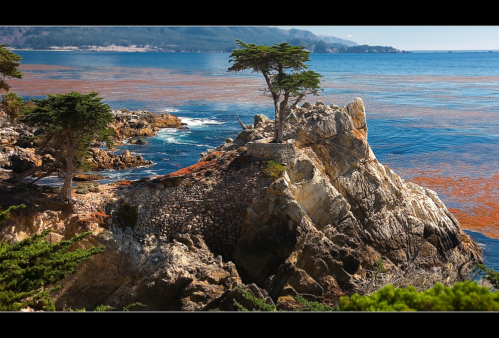 17 Mile Drive - California 2007