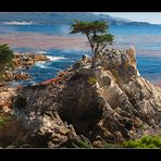 17 Mile Drive - California 2007