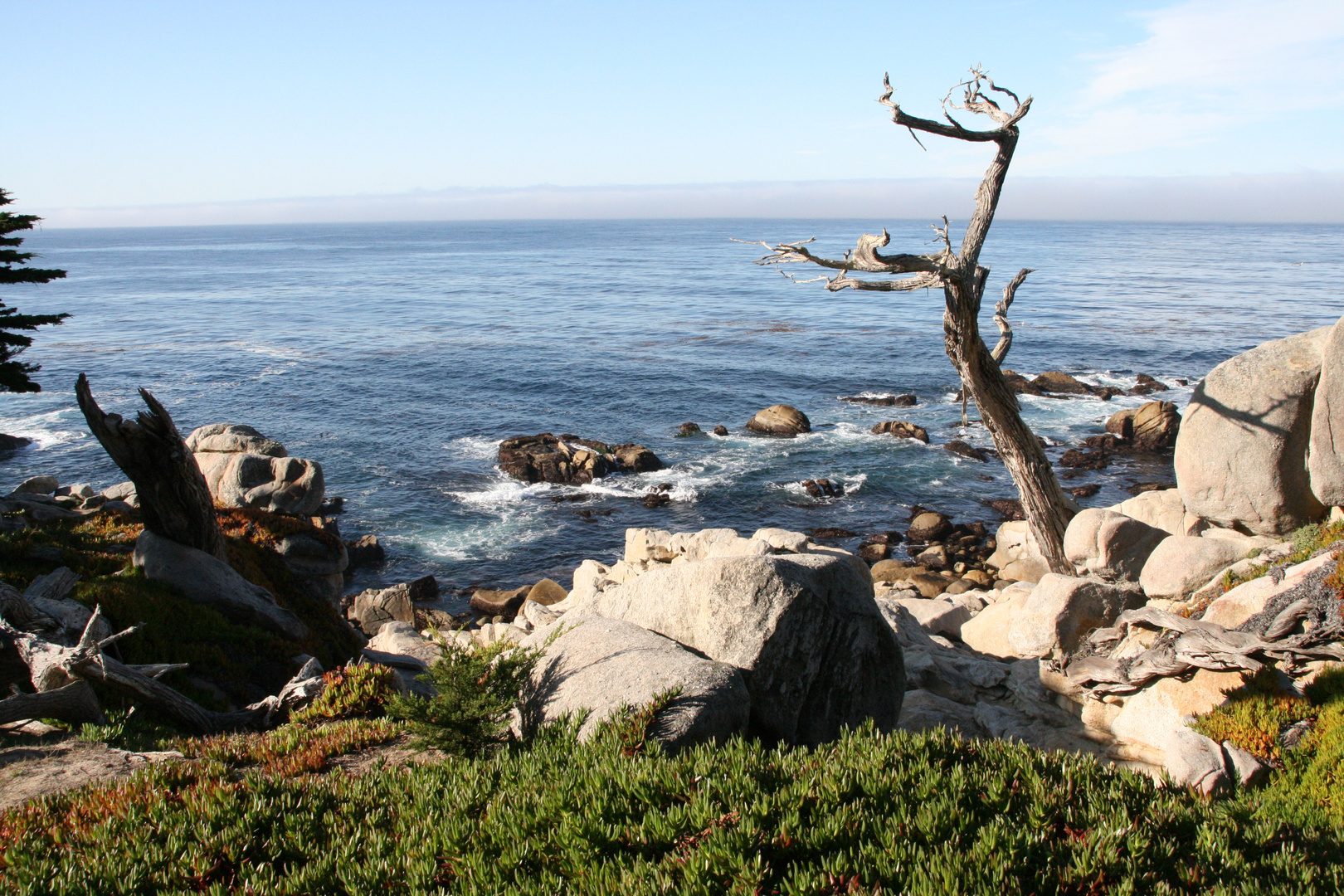 17 Mile Drive