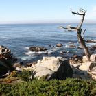 17 Mile Drive